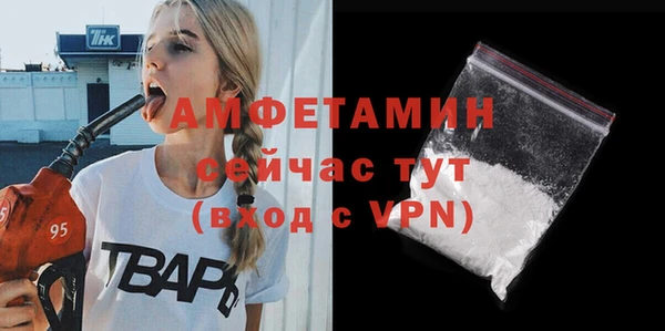 трава Коряжма
