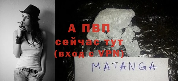 трава Коряжма