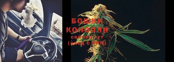 трава Коряжма