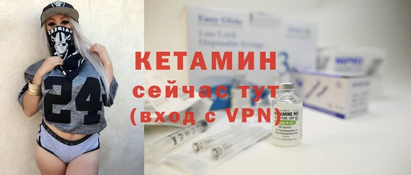 трава Коряжма