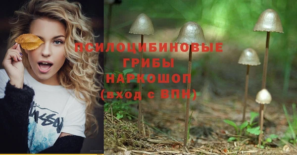 твердый Козловка