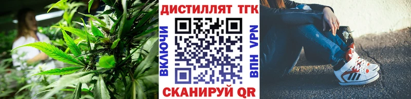 Купить где  Зарайск  Дистиллят ТГК THC oil 