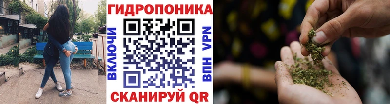 Купить где  Зарайск  Шишки марихуана OG Kush 
